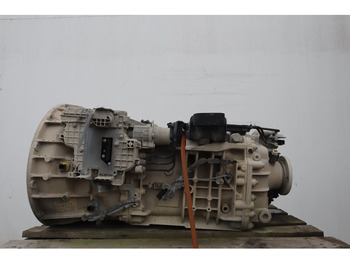 : fotogrāfija galvenē