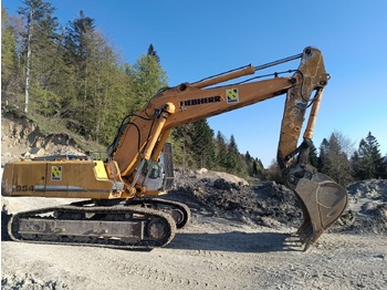 Kāpurķēžu ekskavators LIEBHERR R 954