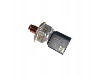 : fotogrāfija galvenē