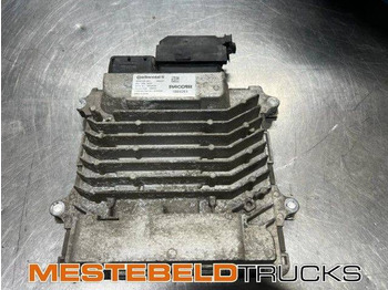 : fotogrāfija galvenē