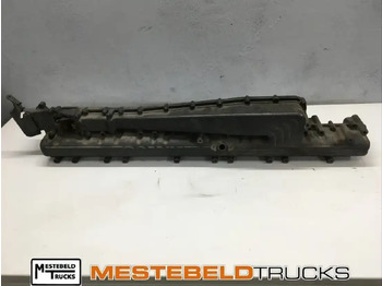 : fotogrāfija galvenē