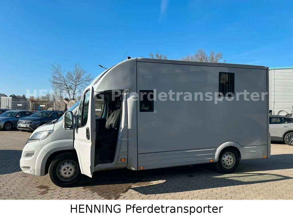 Zirgu kravas automašīna Opel Movano *5 - Sitzer* *Aufbau NEU*: foto 13