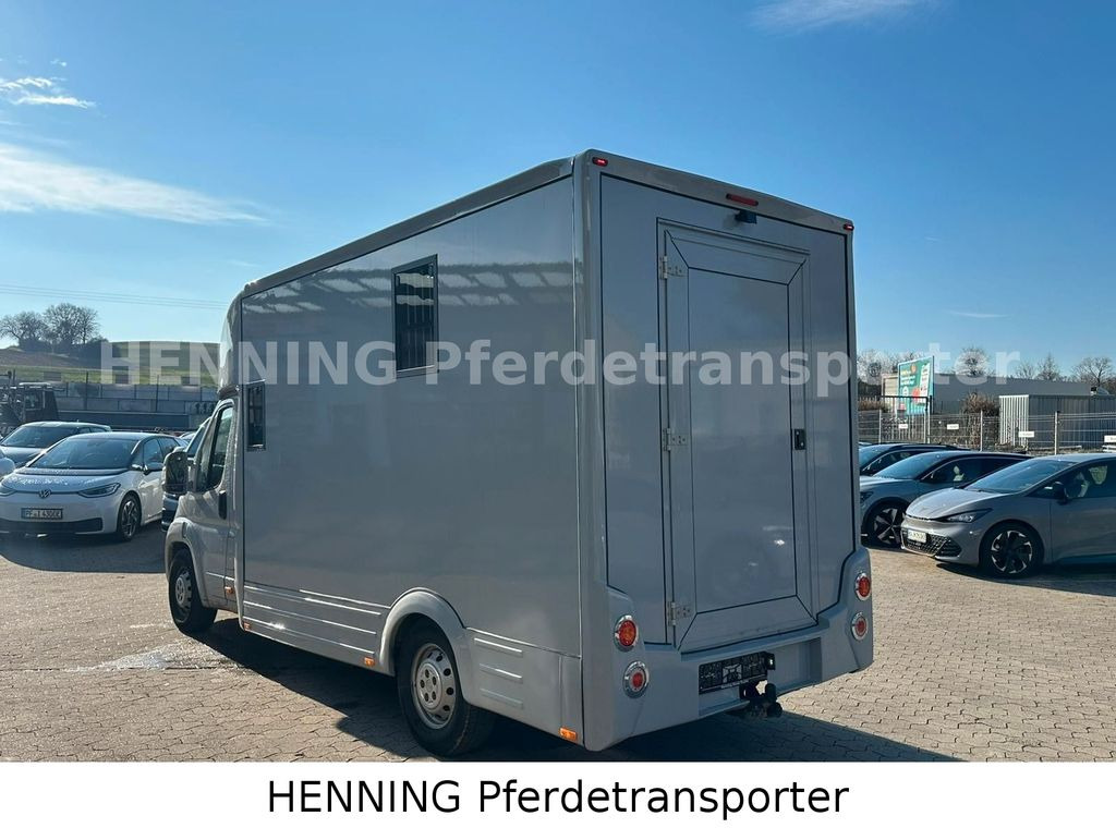 Zirgu kravas automašīna Opel Movano *5 - Sitzer* *Aufbau NEU*: foto 12