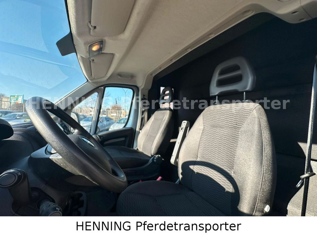 Zirgu kravas automašīna Opel Movano *5 - Sitzer* *Aufbau NEU*: foto 14