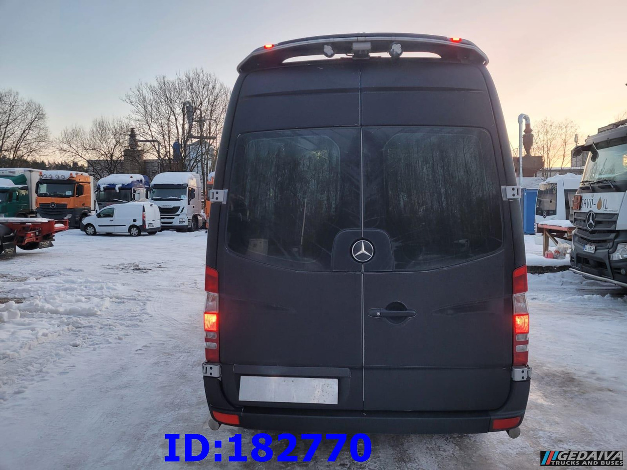 Starppilsētu autobuss MERCEDES-BENZ Sprinter 319 VIP Euro5: foto 10